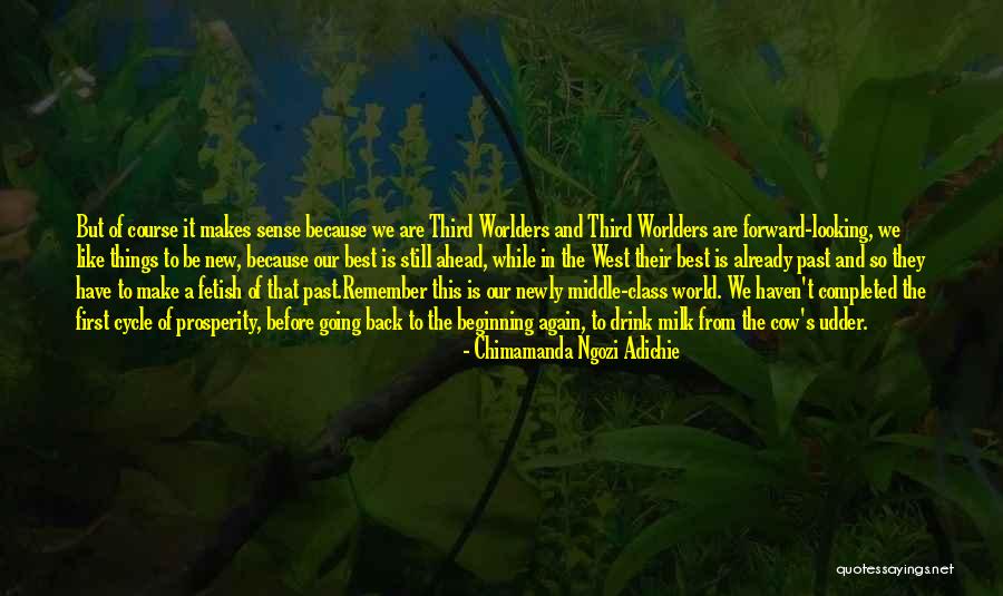 Ridicules Synonyms Quotes By Chimamanda Ngozi Adichie Ridicules Synonyms Quotes By Chimamanda Ngozi Adichie