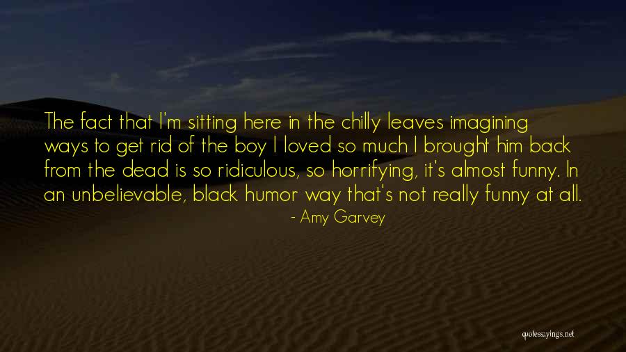 Ridiculous But Funny Quotes By Amy Garvey Ridiculous But Funny Quotes By Amy Garvey