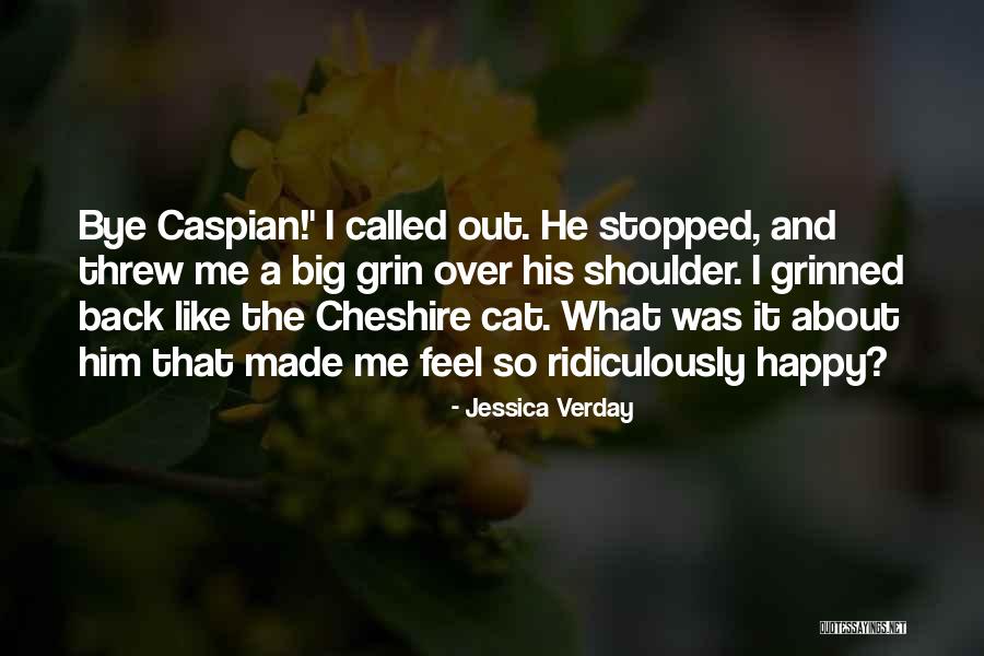 Ridiculously Amazing Quotes By Jessica Verday