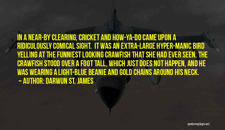 Ridiculously Funny Quotes By Darwun St. James