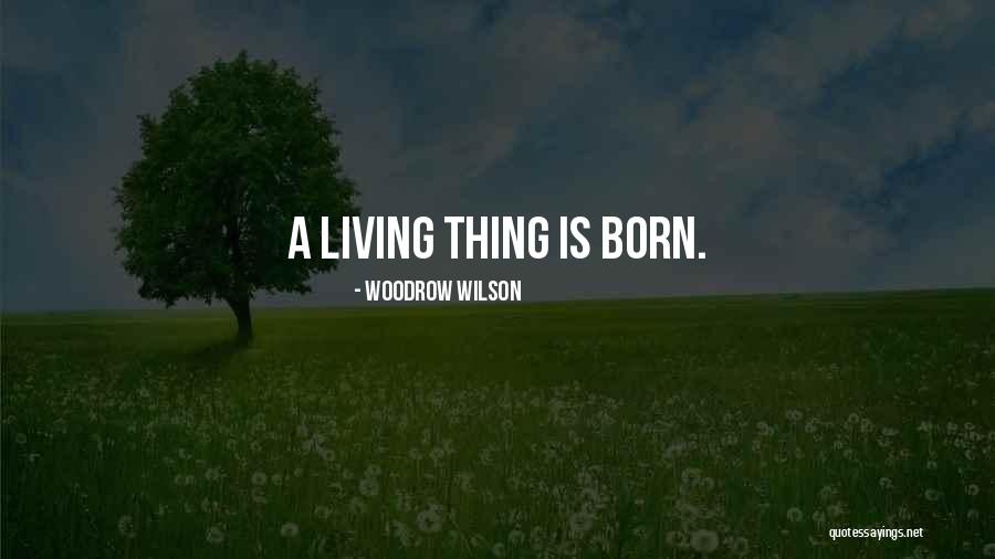 Ridimensionare Immagini Quotes By Woodrow Wilson Ridimensionare Immagini Quotes By Woodrow Wilson