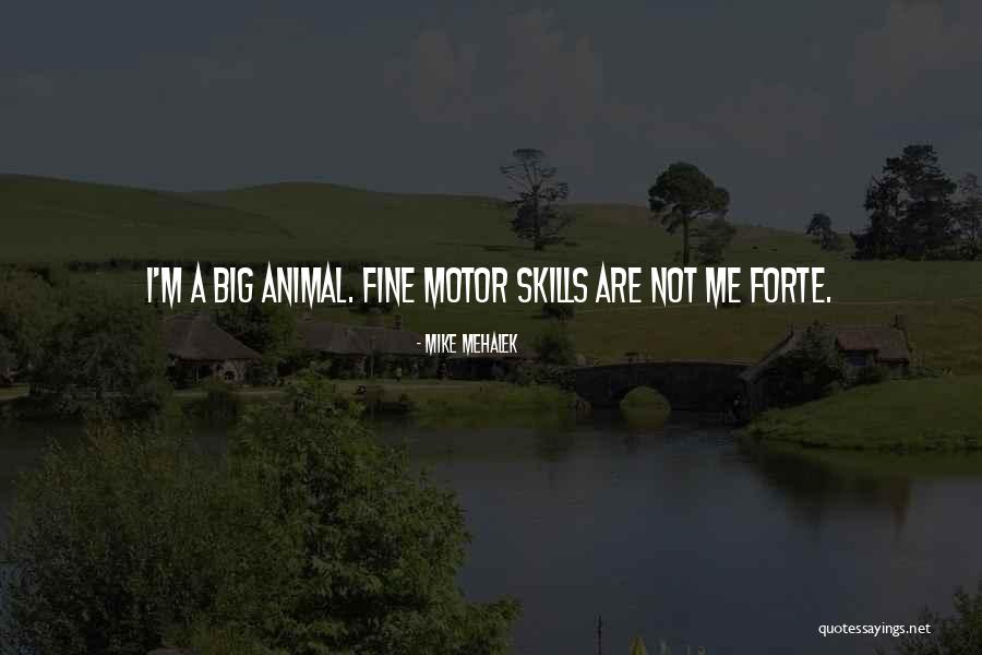 Riding A Ferris Wheel Quotes By Mike Mehalek