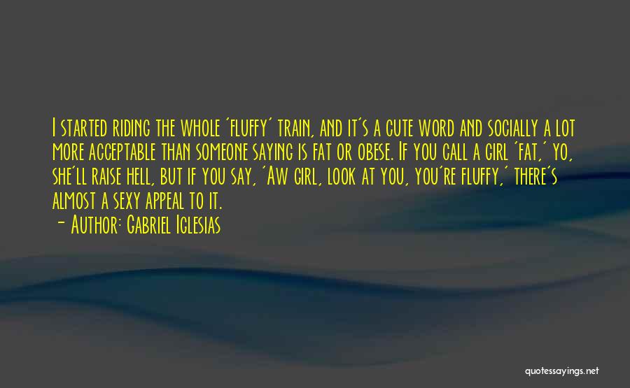 Riding The Train Quotes By Gabriel Iglesias