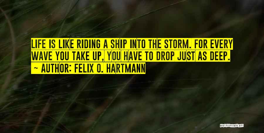 Riding The Wave Quotes By Felix O. Hartmann