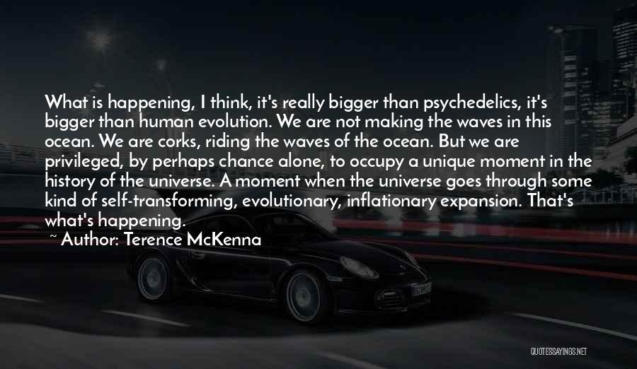 Riding Waves Quotes By Terence McKenna