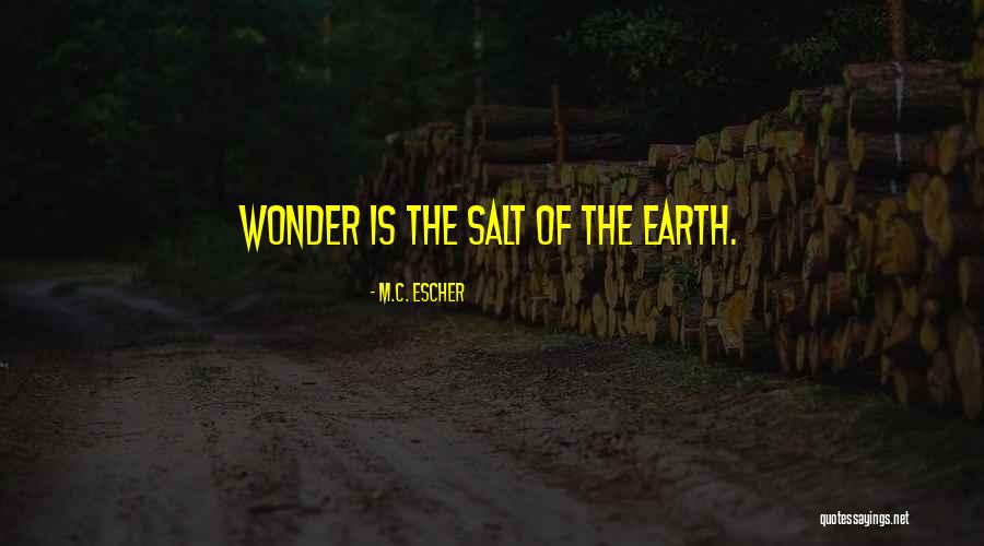 Ridinger Photography Quotes By M.C. Escher Ridinger Photography Quotes By M.C. Escher