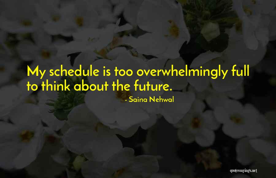 Ridlen Pills Quotes By Saina Nehwal Ridlen Pills Quotes By Saina Nehwal