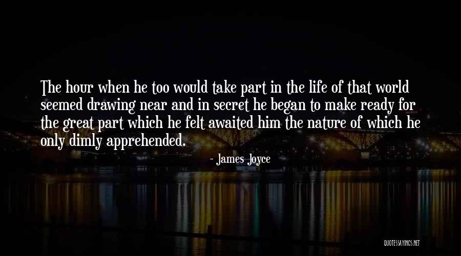 Riedt Switzerland Quotes By James Joyce Riedt Switzerland Quotes By James Joyce