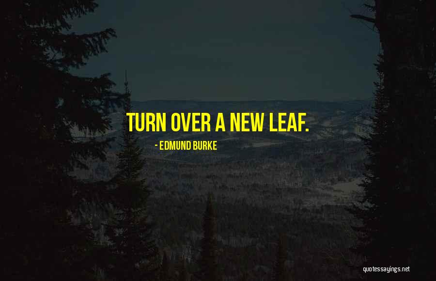 Rieekan Quotes By Edmund Burke Rieekan Quotes By Edmund Burke