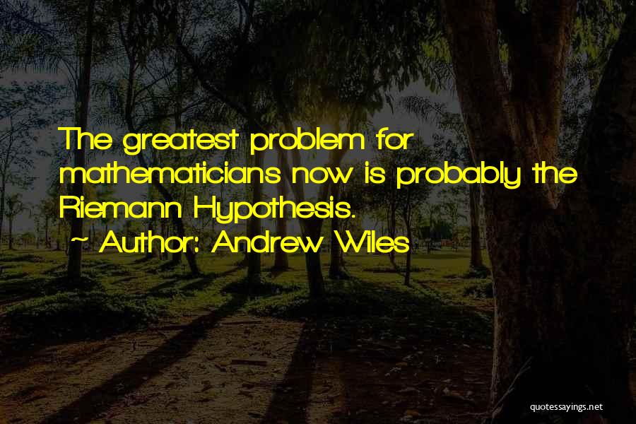 Riemann Hypothesis Quotes By Andrew Wiles