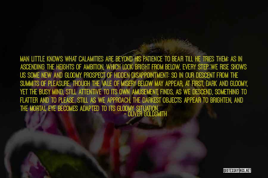 Riempie Stoel Quotes By Oliver Goldsmith Riempie Stoel Quotes By Oliver Goldsmith