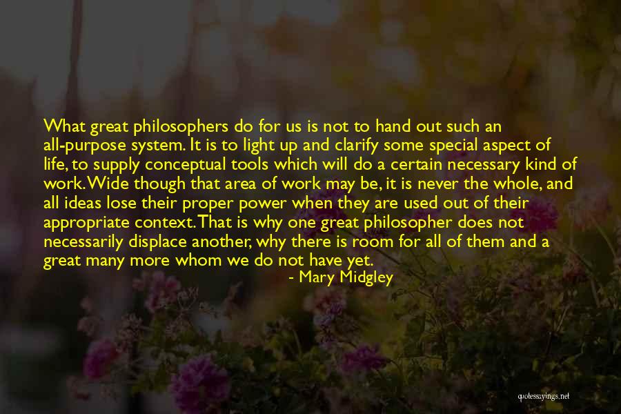 Riendeau Hyundai Quotes By Mary Midgley
