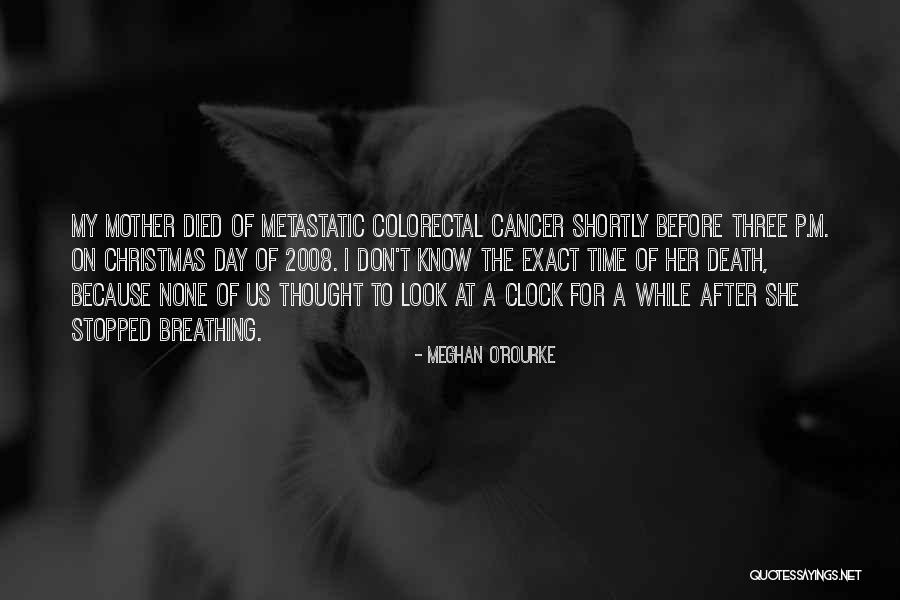Riendome Quotes By Meghan O'Rourke Riendome Quotes By Meghan O'Rourke