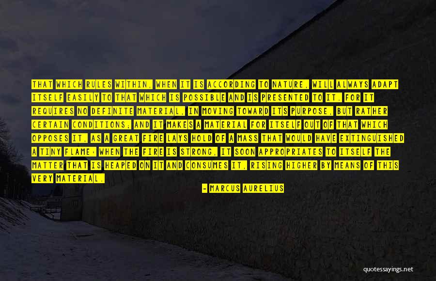 Riesenberg Germany Quotes By Marcus Aurelius Riesenberg Germany Quotes By Marcus Aurelius