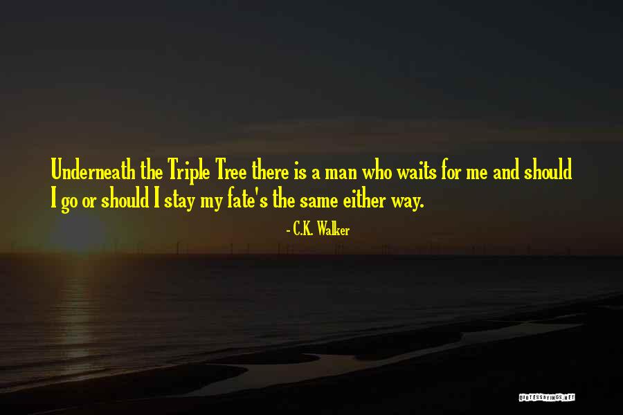 Rietzanger Quotes By C.K. Walker Rietzanger Quotes By C.K. Walker