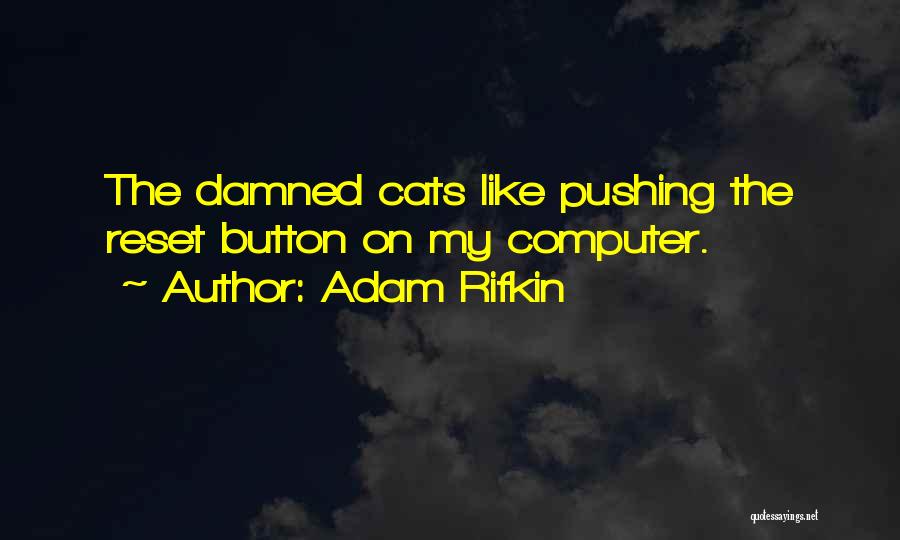 Rifkin Quotes By Adam Rifkin