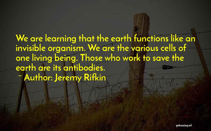 Rifkin Quotes By Jeremy Rifkin