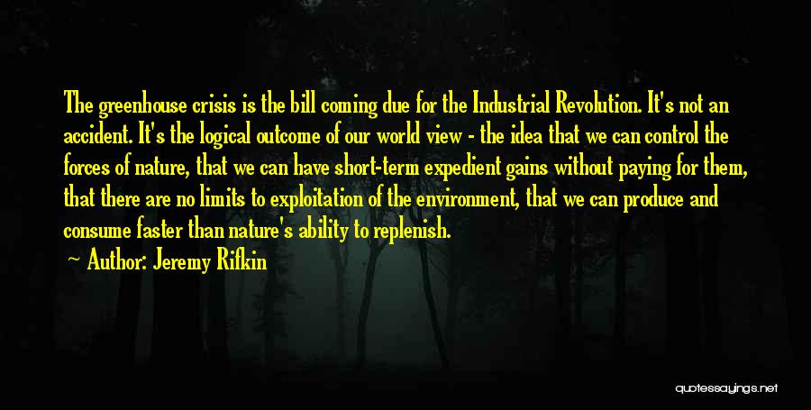 Rifkin Quotes By Jeremy Rifkin