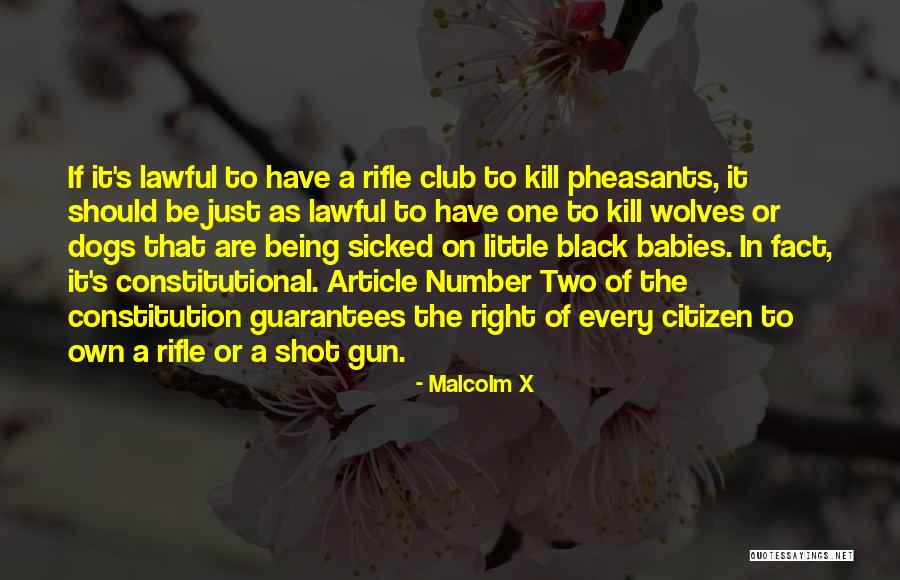 Rifle Gun Quotes By Malcolm X