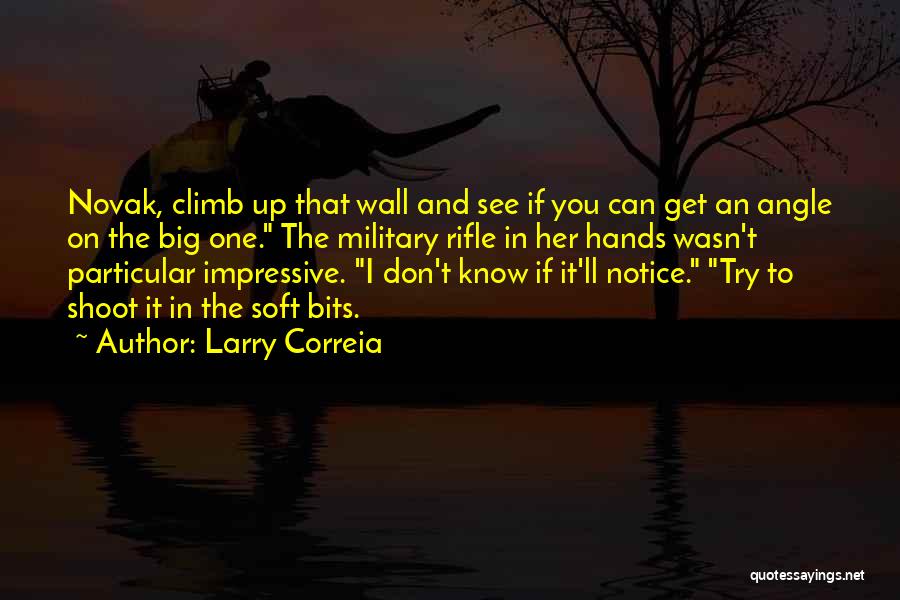 Rifle Quotes By Larry Correia