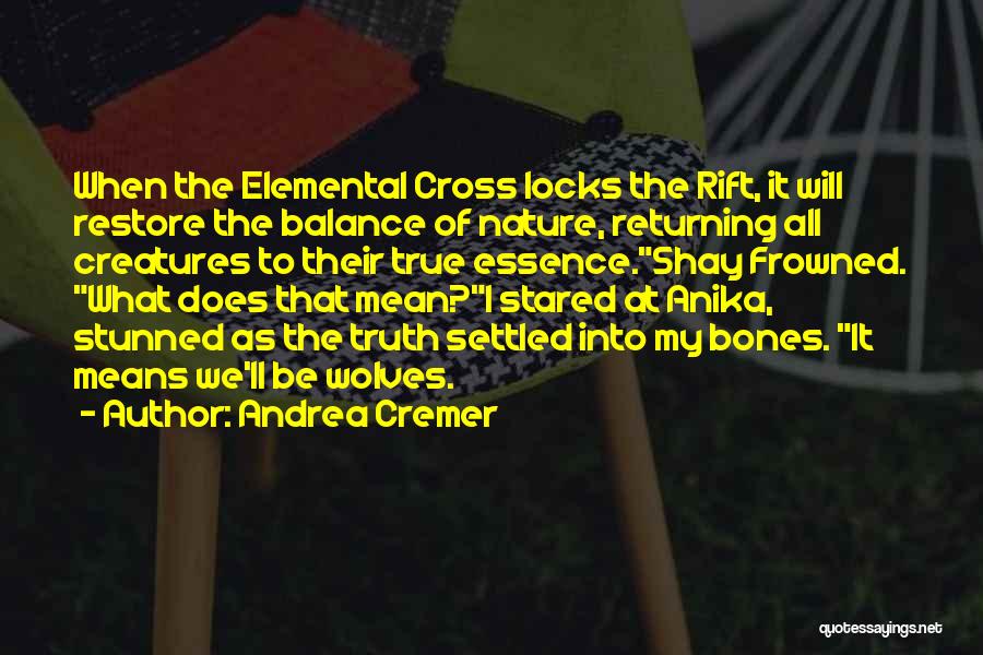 Rift Quotes By Andrea Cremer