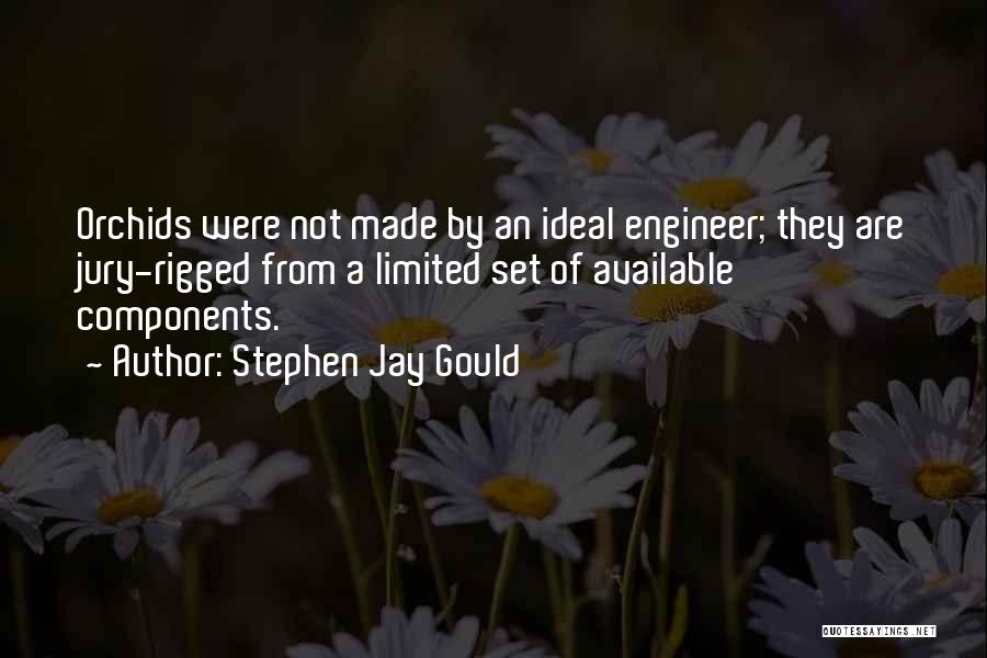 Rigged Quotes By Stephen Jay Gould