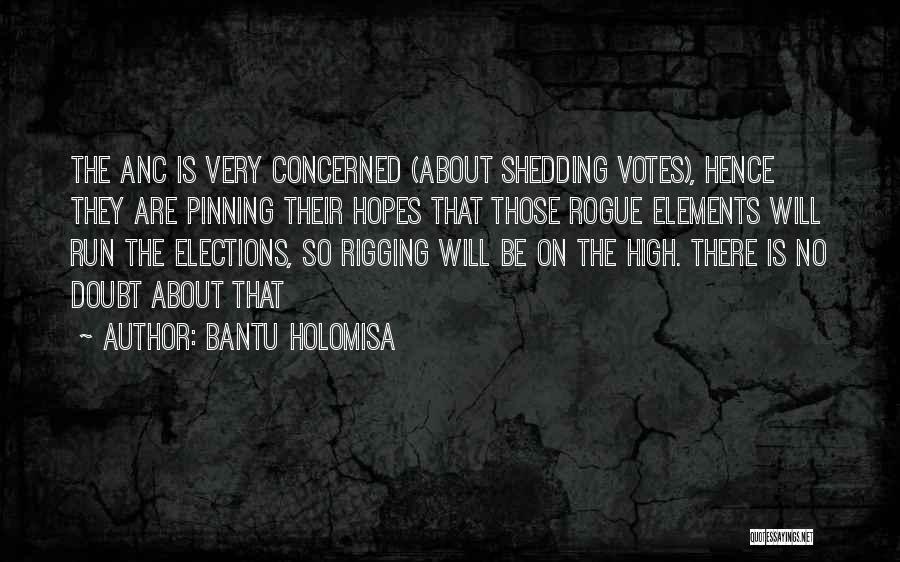 Rigging Elections Quotes By Bantu Holomisa