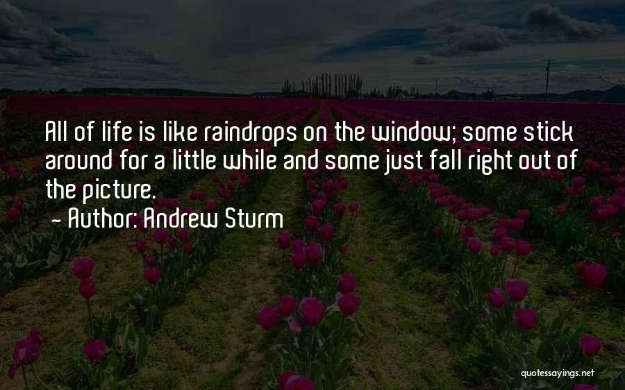 Right And Just Quotes By Andrew Sturm