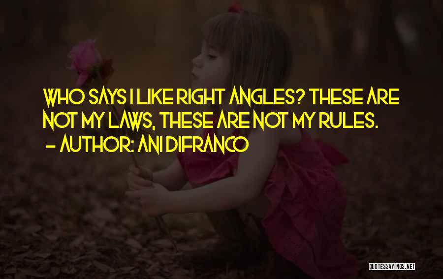 Right Angles Quotes By Ani DiFranco