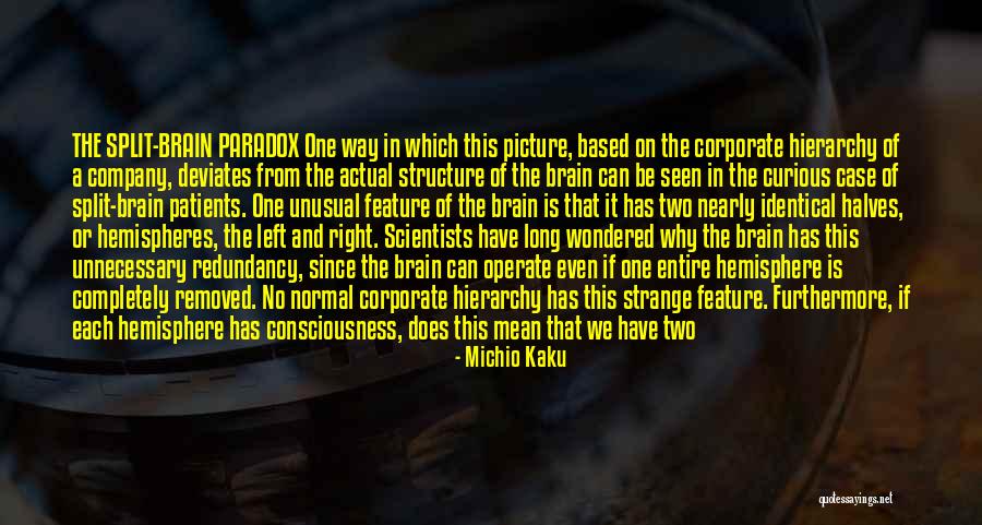 Right Based Quotes By Michio Kaku Right Based Quotes By Michio Kaku