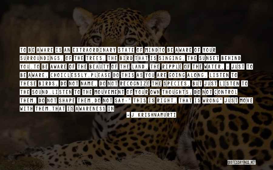 Right Becomes Wrong Quotes By J.Krishnamurti Right Becomes Wrong Quotes By J.Krishnamurti