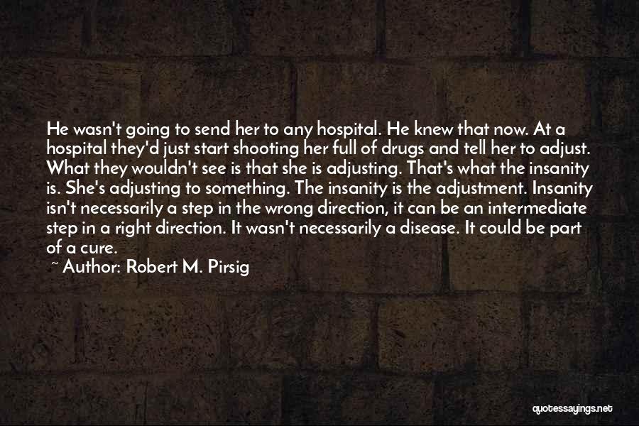 Right Direction Quotes By Robert M. Pirsig