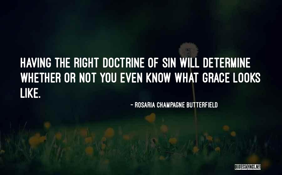 Right Doctrine Quotes By Rosaria Champagne Butterfield