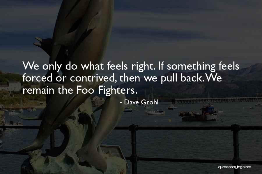 Right Fighters Quotes By Dave Grohl