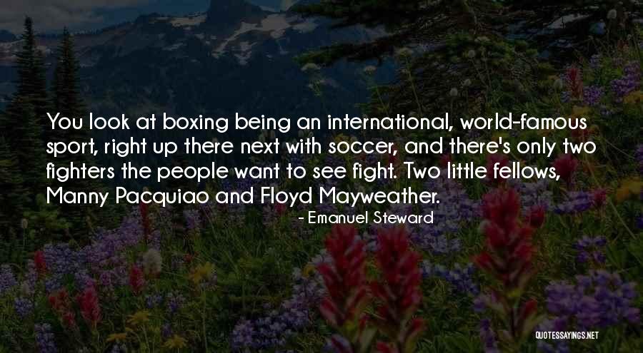 Right Fighters Quotes By Emanuel Steward