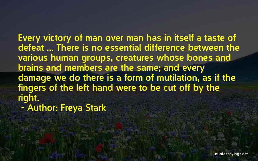 Right Hand Man Quotes By Freya Stark