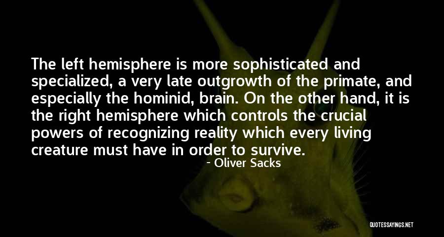 Right Hemisphere Quotes By Oliver Sacks Right Hemisphere Quotes By Oliver Sacks