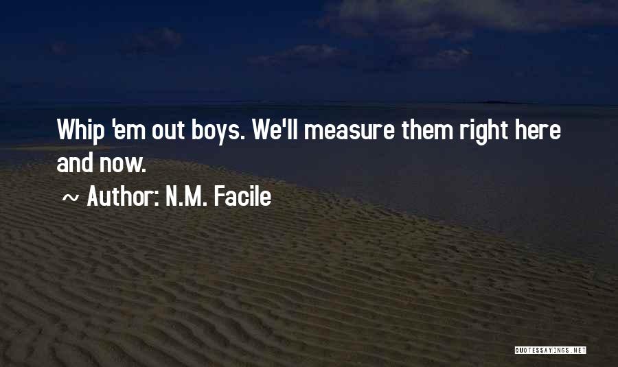 Right Here Right Now Quotes By N.M. Facile