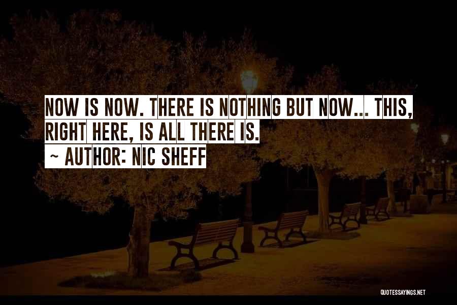 Right Here Right Now Quotes By Nic Sheff