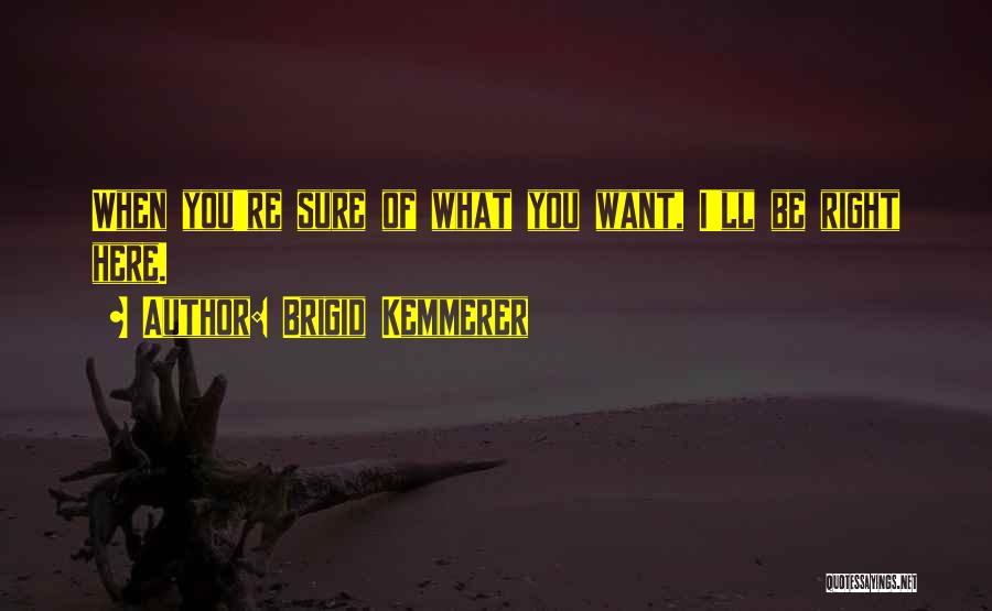 Right Here Waiting For You Quotes By Brigid Kemmerer