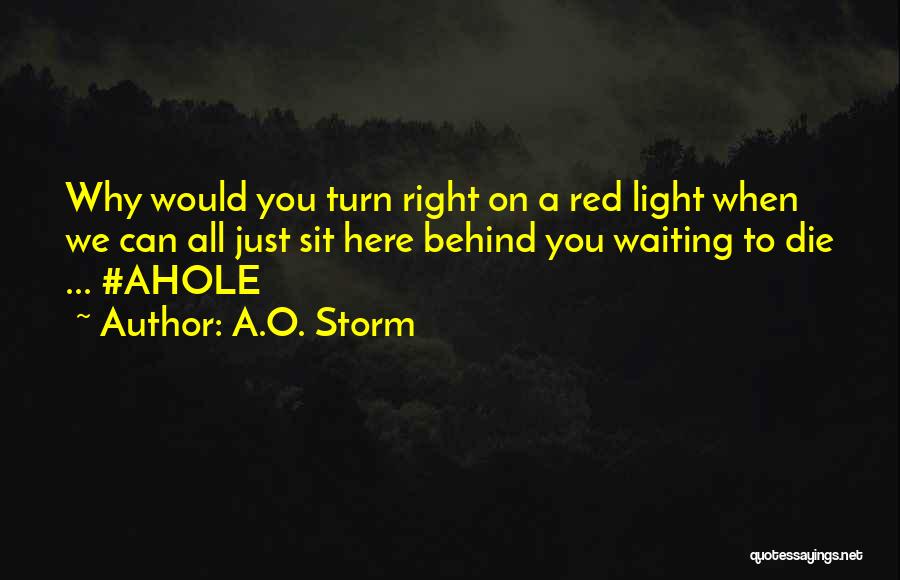 Right Here Waiting Quotes By A.O. Storm