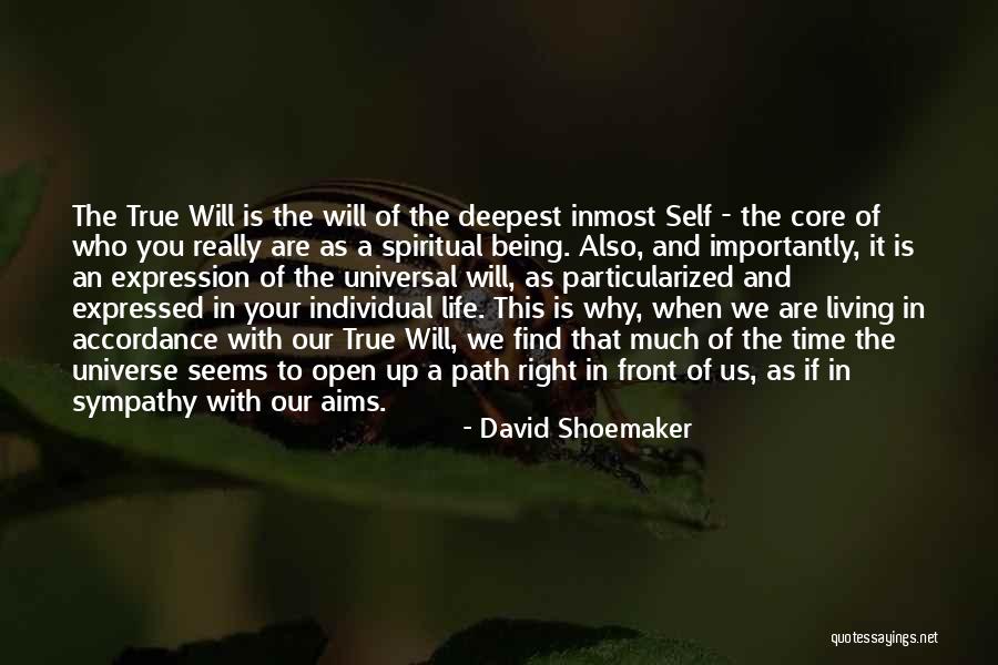 Right Path In Life Quotes By David Shoemaker