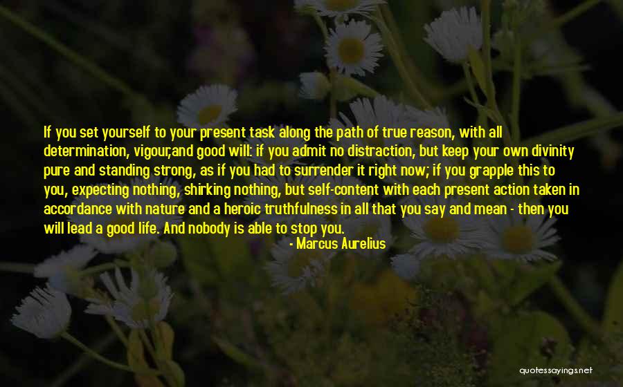 Right Path In Life Quotes By Marcus Aurelius