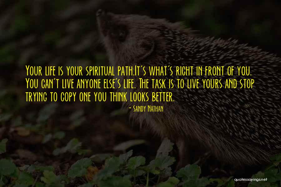 Right Path In Life Quotes By Sandy Nathan