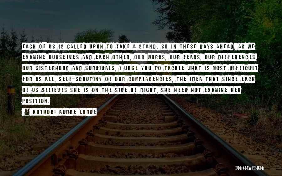 Right Tackle Quotes By Audre Lorde