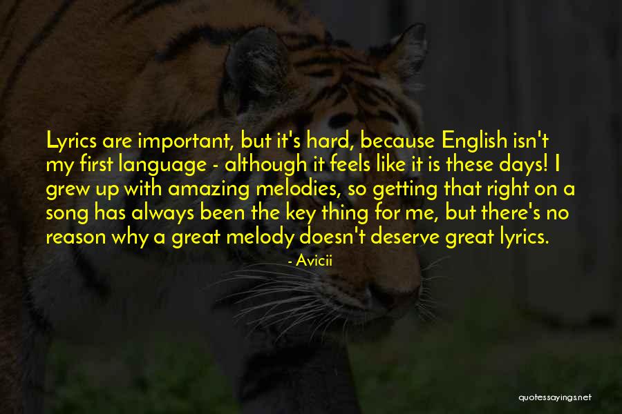 Right There Lyrics Quotes By Avicii Right There Lyrics Quotes By Avicii