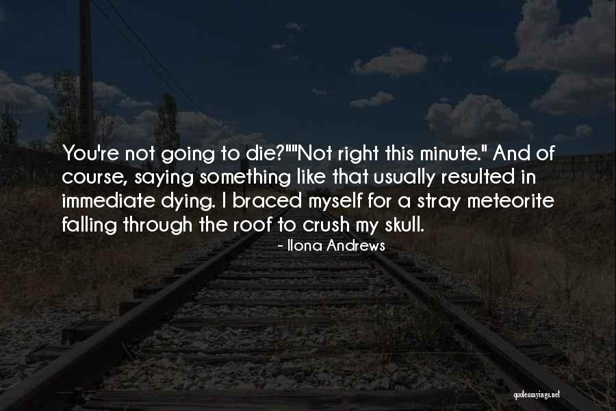 Right To Die Quotes By Ilona Andrews Right To Die Quotes By Ilona Andrews