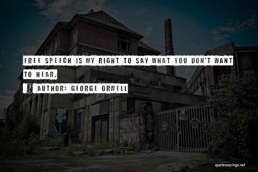 Right To Free Speech Quotes By George Orwell