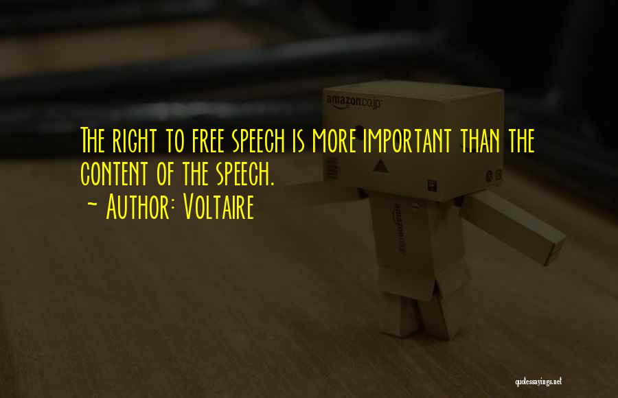 Right To Free Speech Quotes By Voltaire