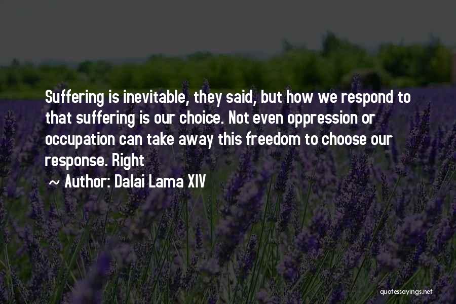 Right To Freedom Quotes By Dalai Lama XIV